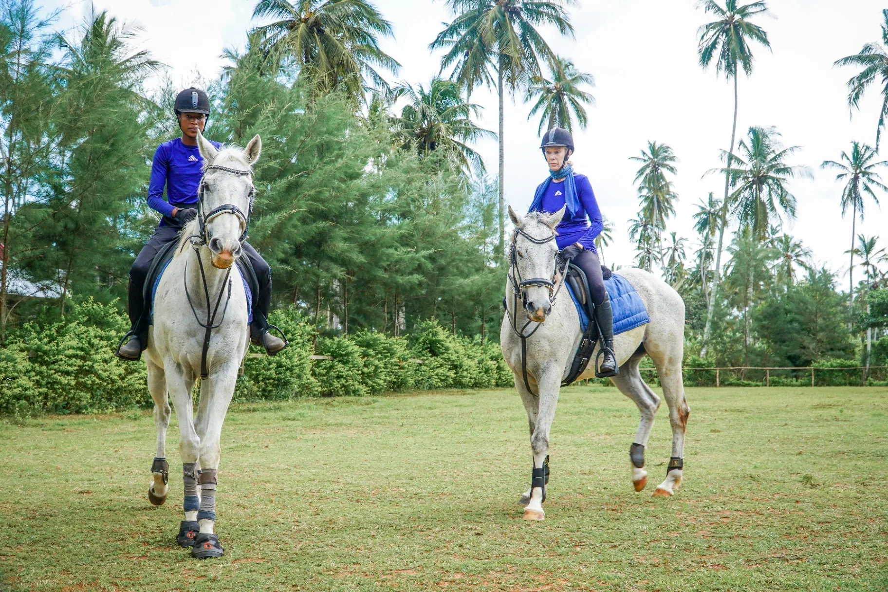 Two riders on white horses in a palm-lined paddock