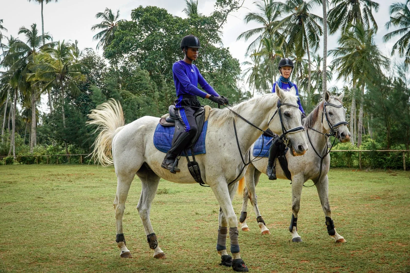 Two riders on white horses under palm trees